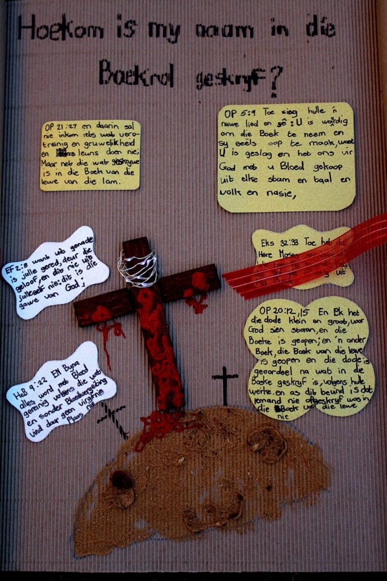 Card Image 2