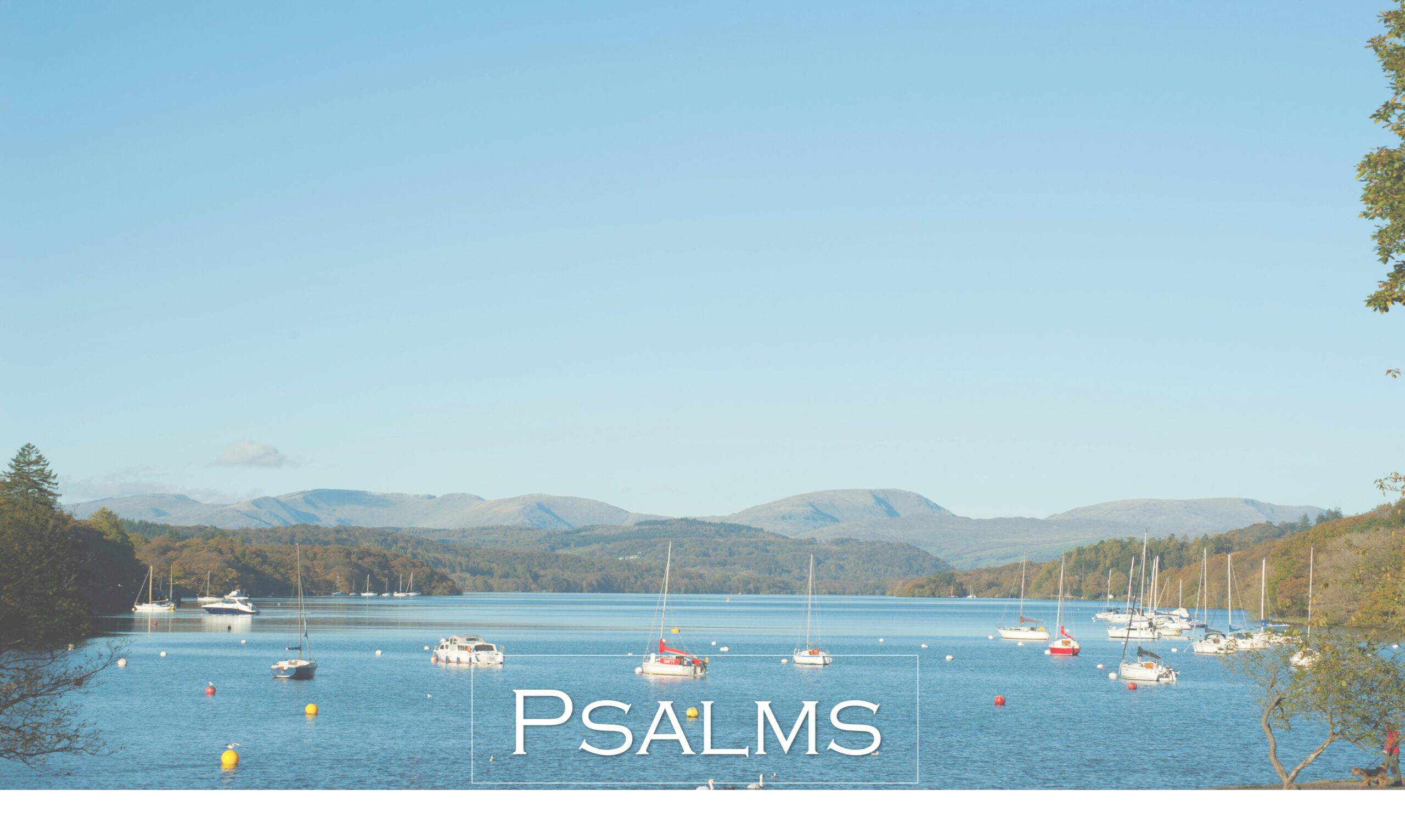 Psalms